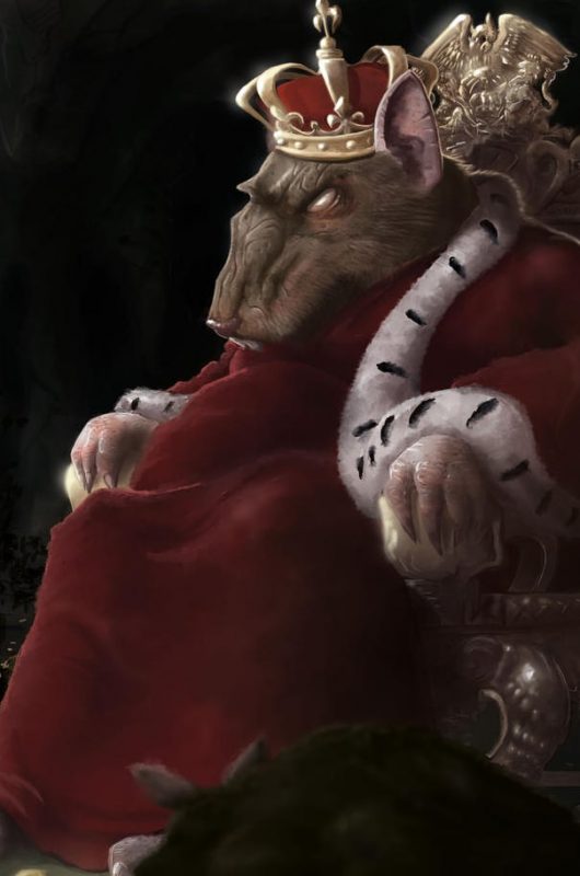great_king_rat-min great_king_rat-min